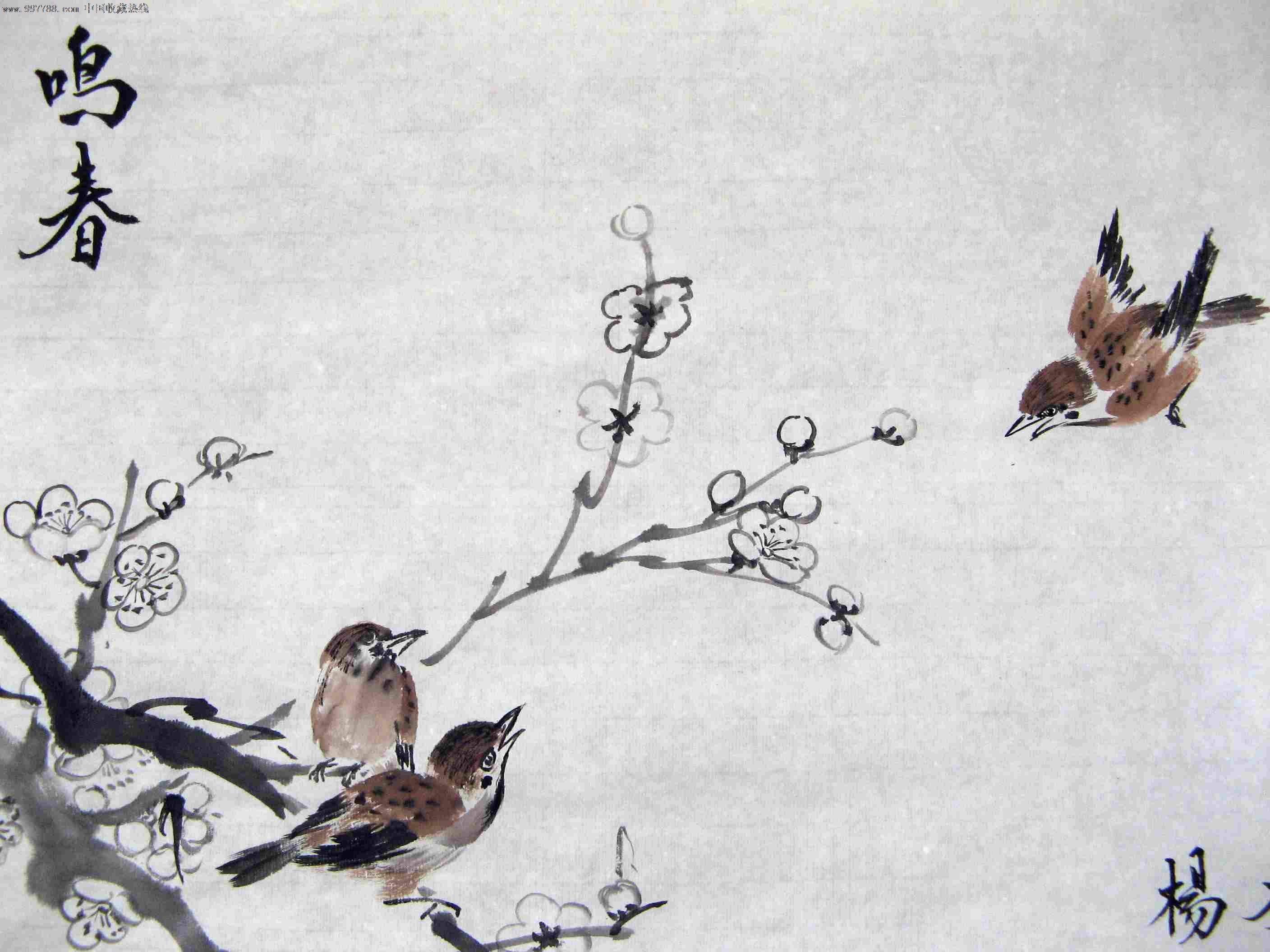 山东知名画家三尺斗方花鸟画《鸣春》