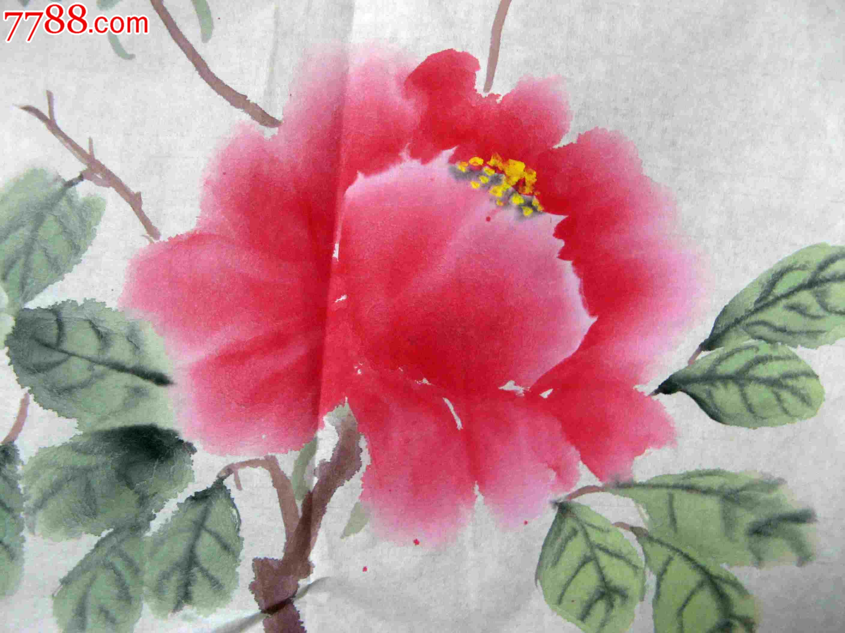 清秀雅丽的一尺斗方无款牡丹画_花鸟国画原作_作品欣赏_收藏价值_7788