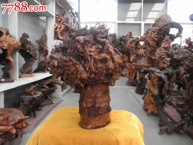 刘炳新根艺家作品专场-----图腾【杏树根】