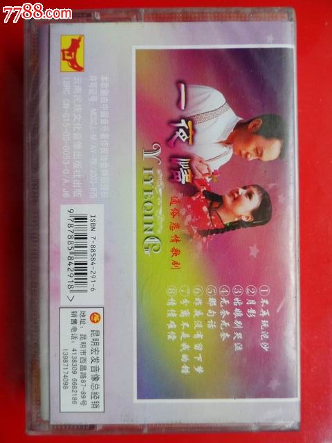一夜情(通俗悲情歌剧)