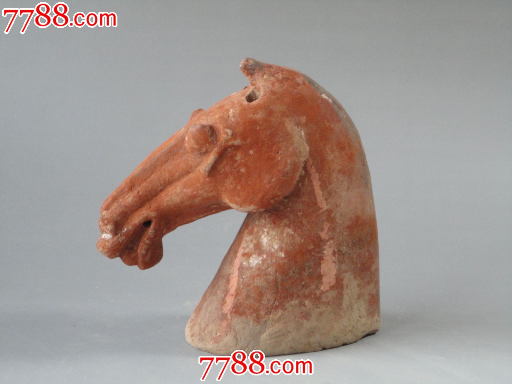 汉代陶马首一只