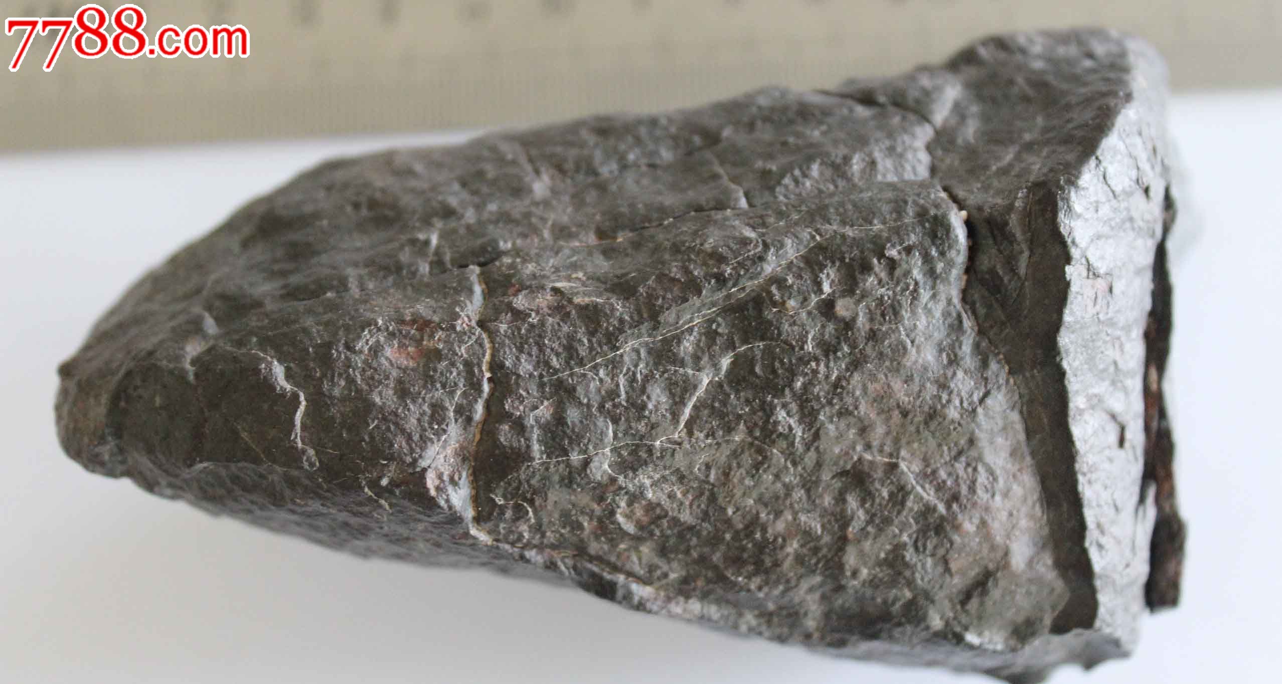 经典沙东球粒陨石588克