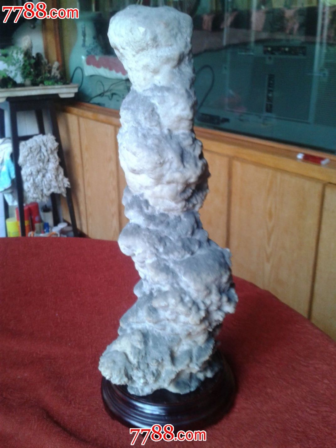 亿万年钟乳石笋