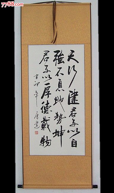 《天行健君子以自強不息.》書法作品.收藏.辦公.家居.客廳裝飾字畫