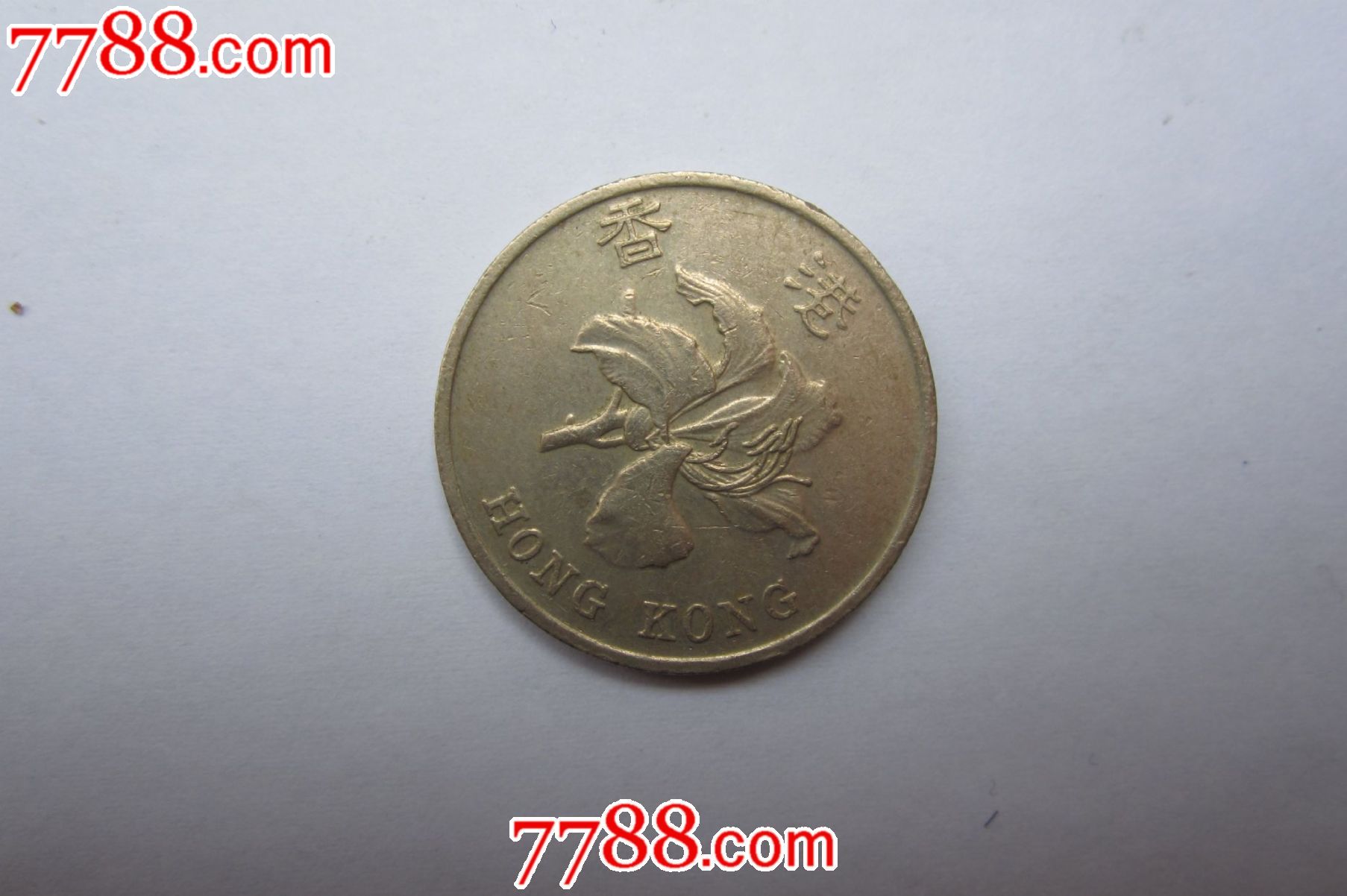 港币一元硬币图片1998图片
