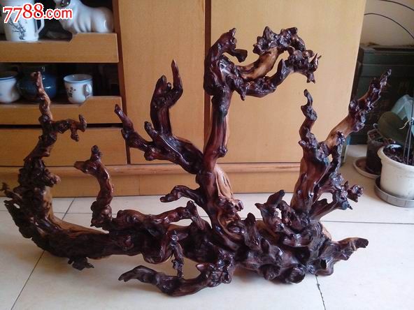 百年树龄的超大鼠李根(俗称麻梨疙瘩)原生态摆件