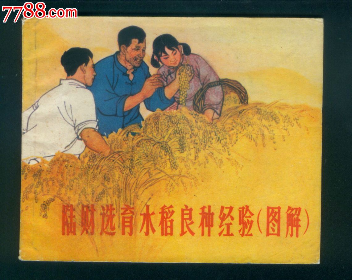 陆财选育水稻良种经验,连环画/小人书,六十年代(20世纪),绘画版连环画