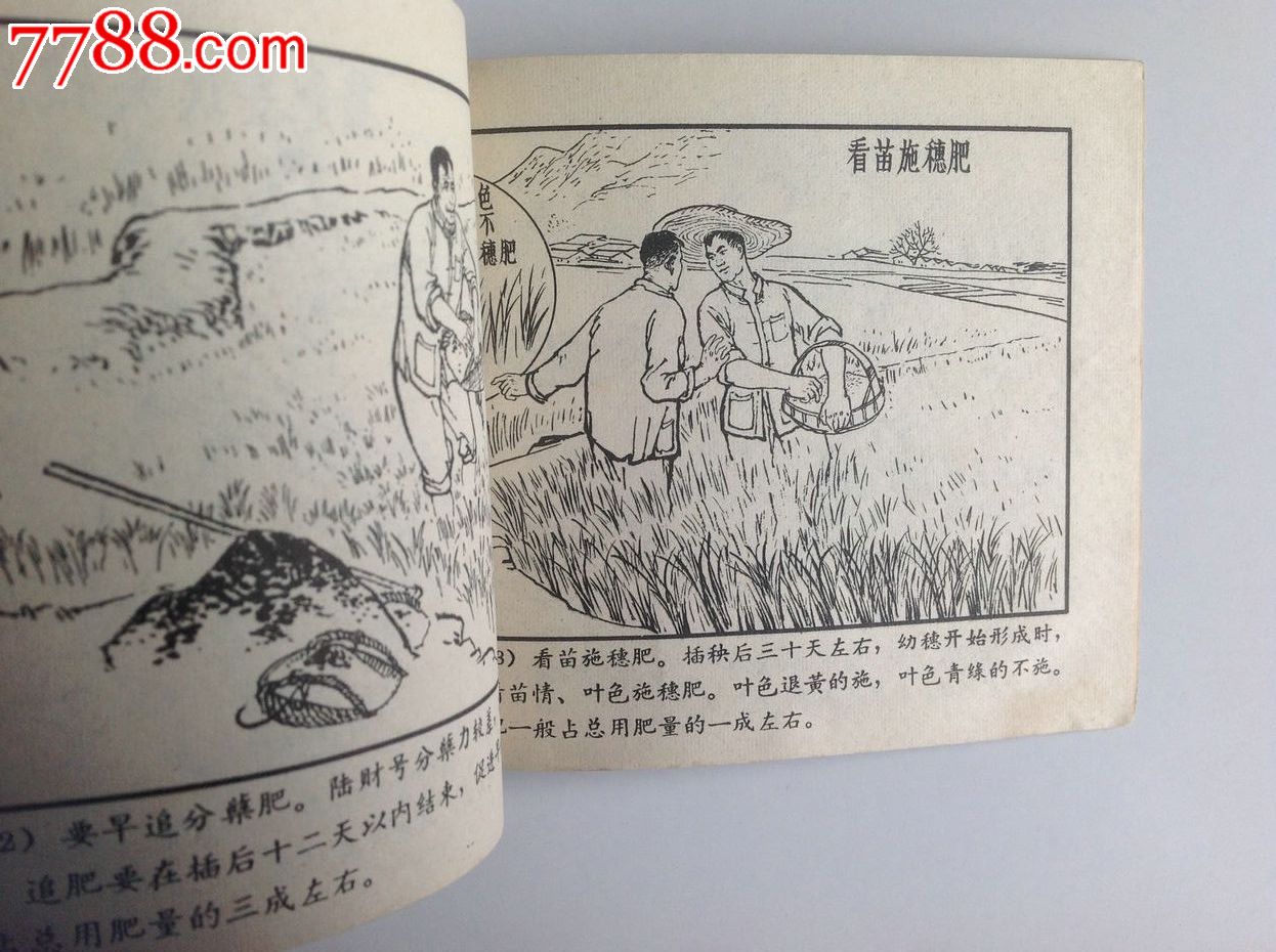陆财选育水稻良种经验,连环画/小人书,六十年代(20世纪),绘画版连环画