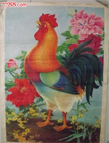 大公鸡