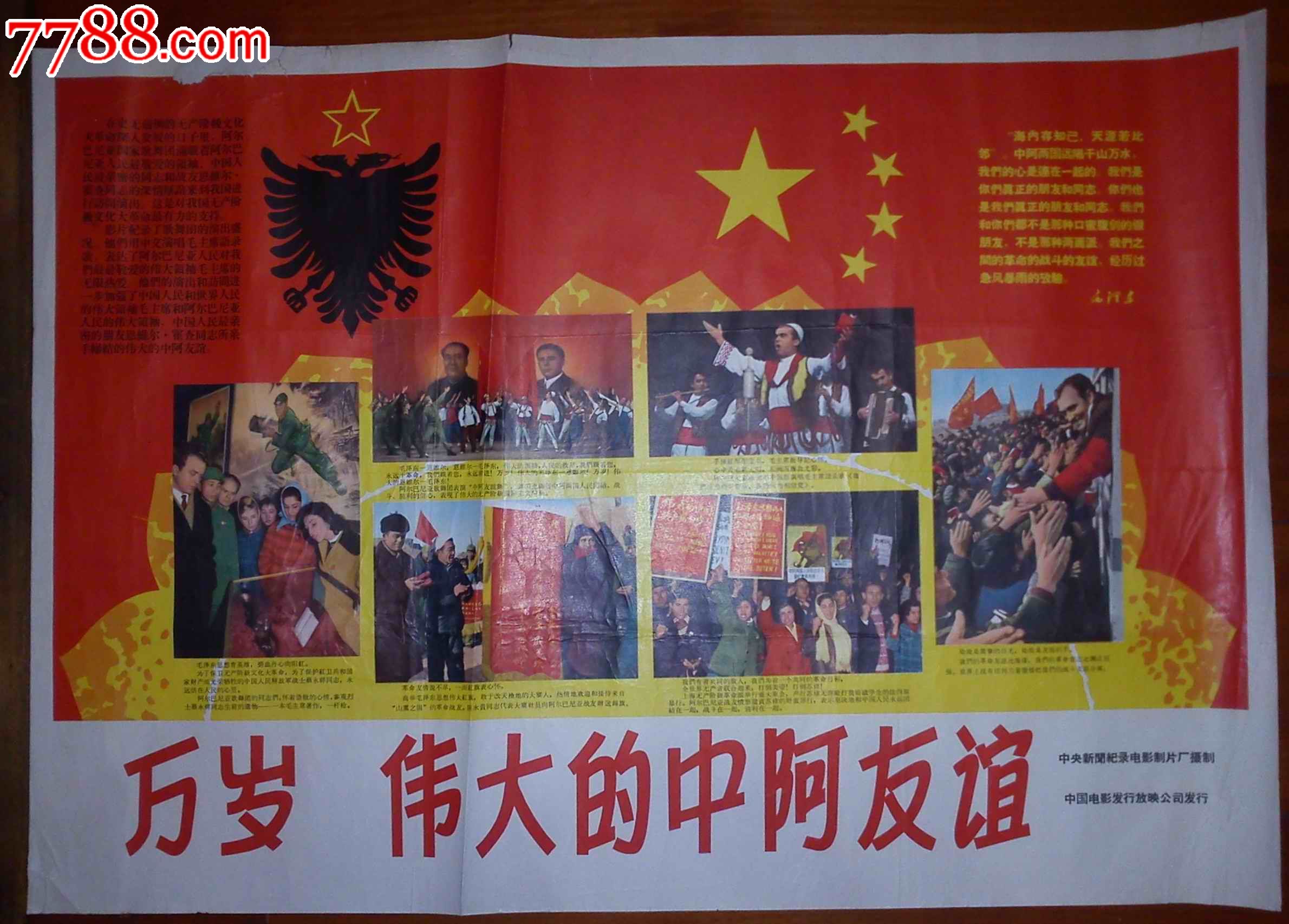 伟大的中阿友谊