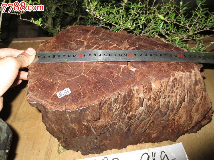 阴沉木【乌木】红椿木礅料(183)