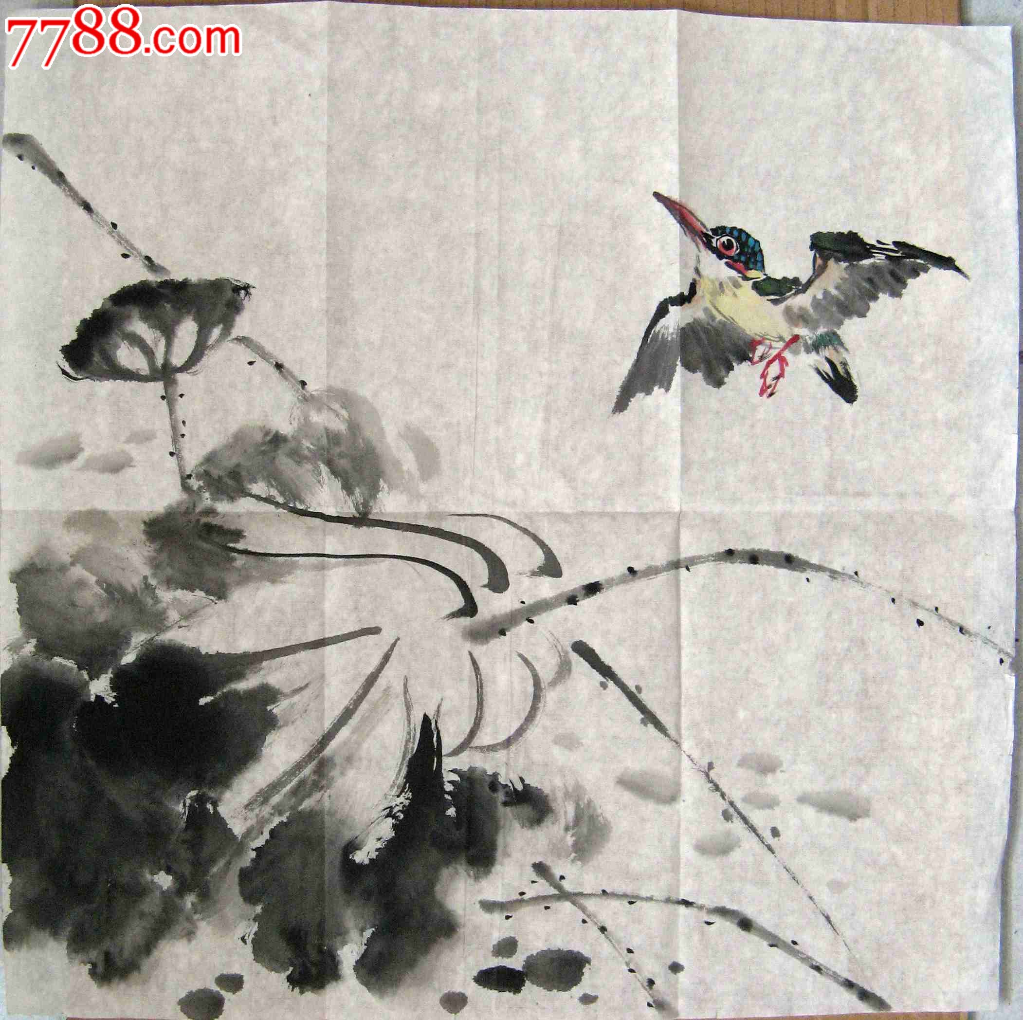 简洁洗练的三尺斗方无款花鸟画荷塘翠鸟