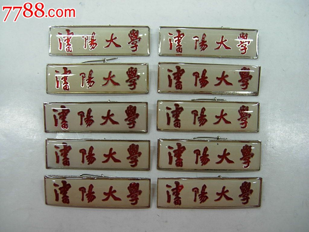 白色沈阳大学校徽10枚