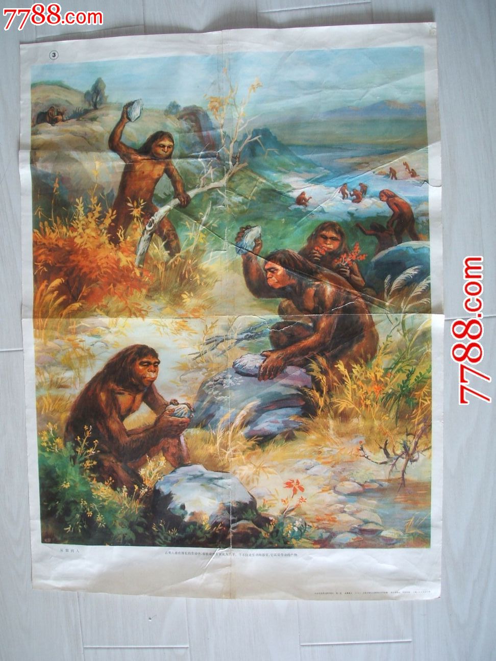 se18009189  店内编号:534 品种: 教学挂图-教学挂图 属性: 历史挂图