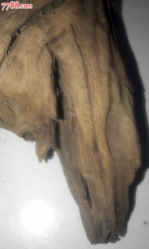 阴沉木大致是香樟