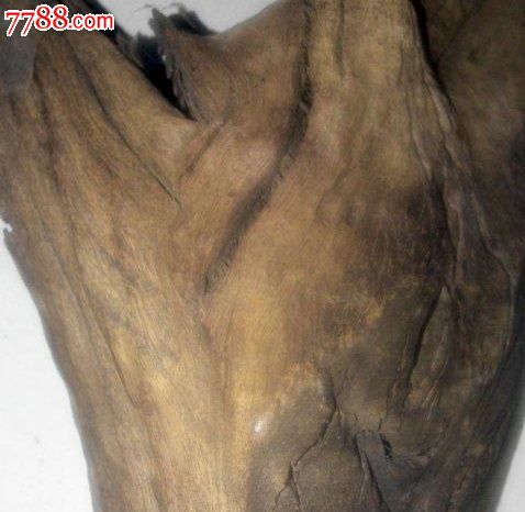 阴沉木大致是香樟-se18054264-天然原木-零售-7788收藏__收藏热线