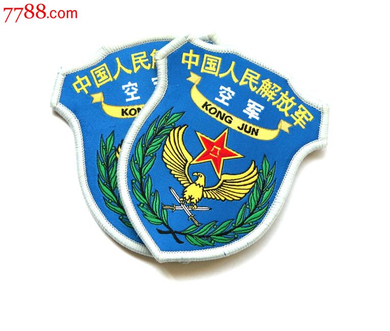 13厂空军实验臂章