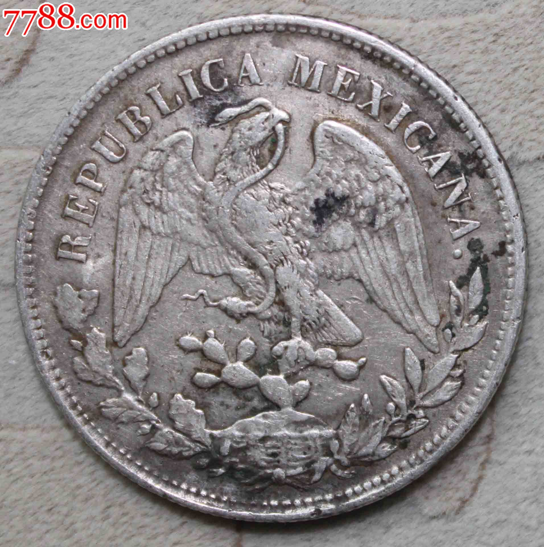 墨西哥直齿鹰洋