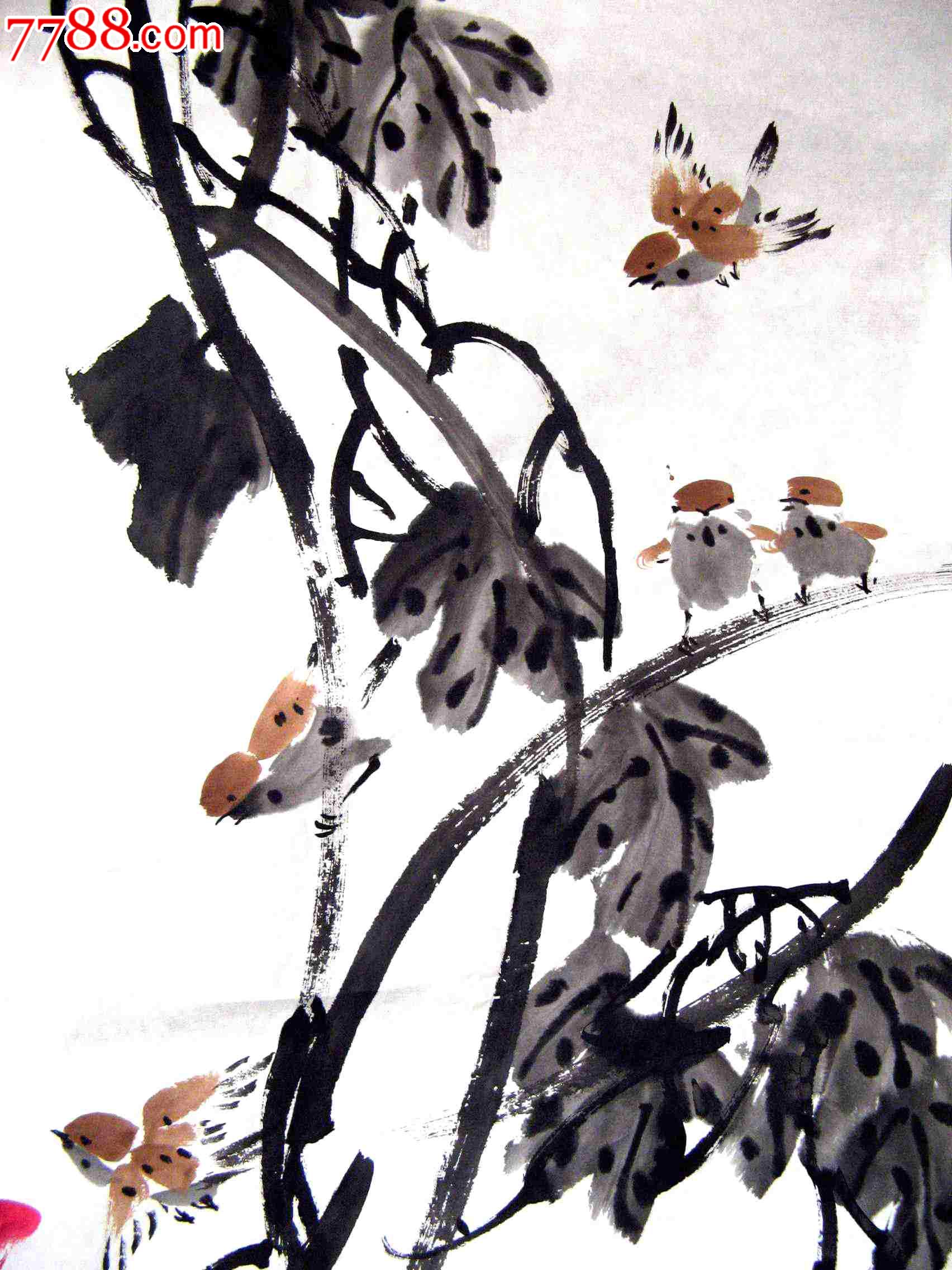 山东知名画家四尺斗方花鸟画《鸟语秋花香》