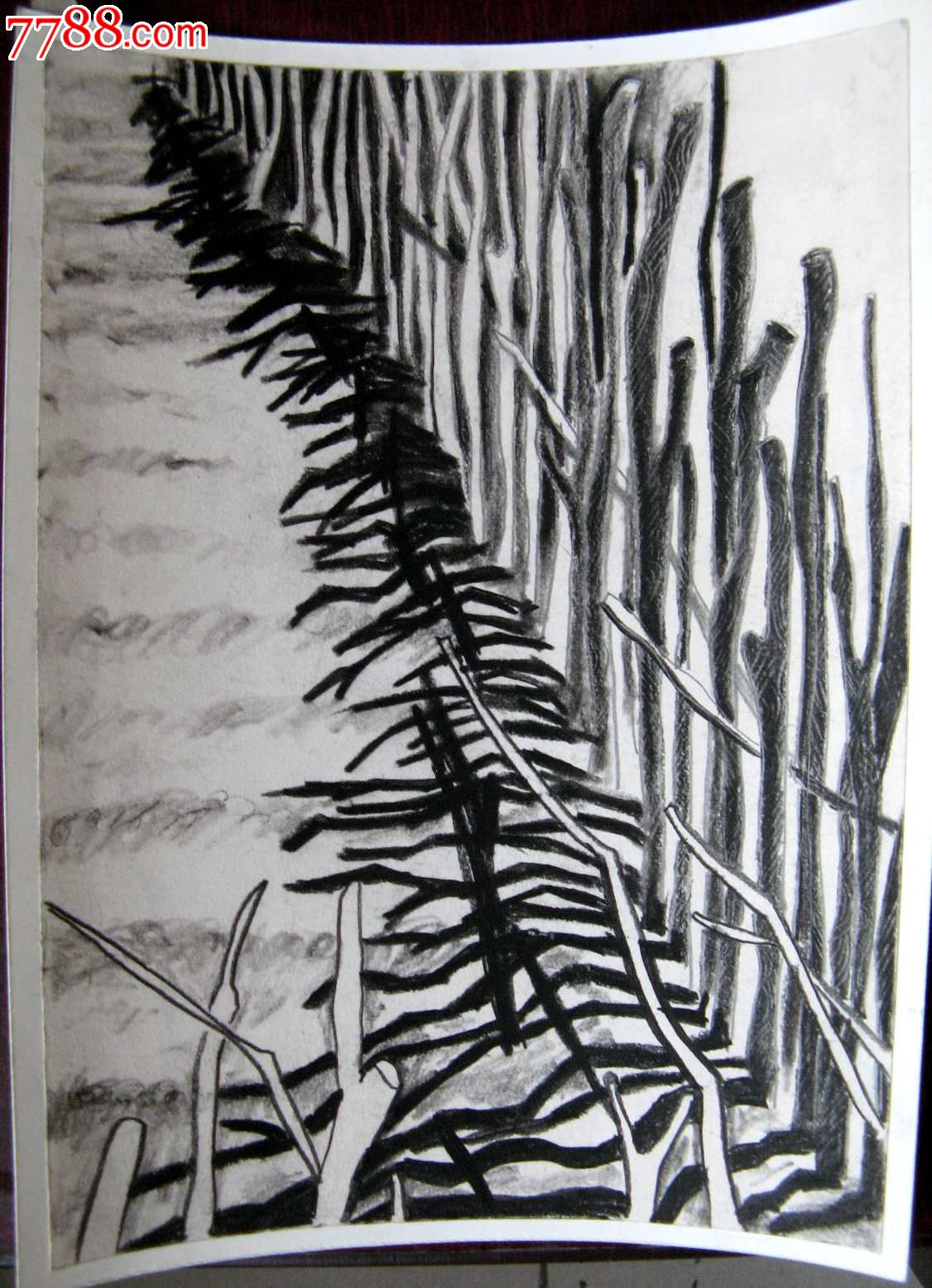 菊篱笆山的素描画图片