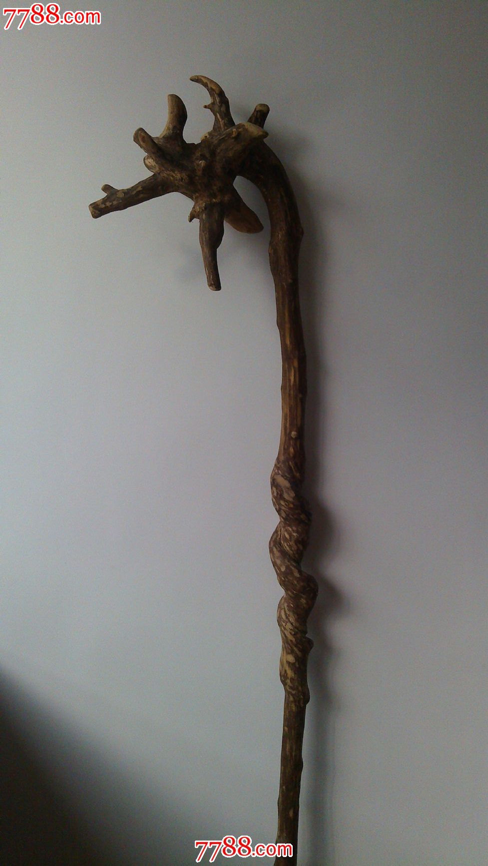 世间独一无二的龙头拐杖