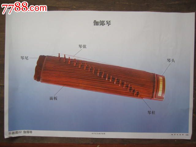 乐器-伽倻琴