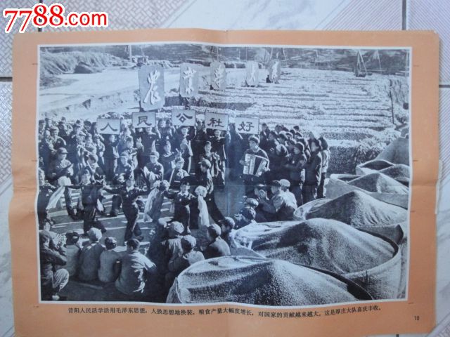 农业学大寨(12张)