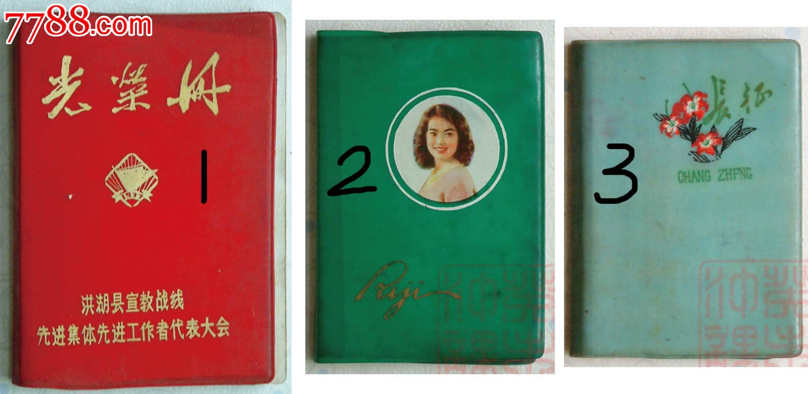 光荣册洪湖县宣教战线先进集体先进工作者代表