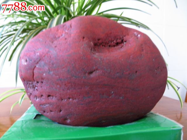 汉江红石种象形石大红大紫