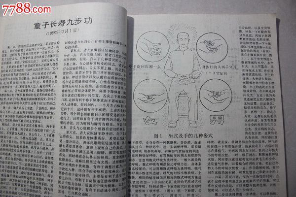 中国著名气*画册:严新.功法.故事.