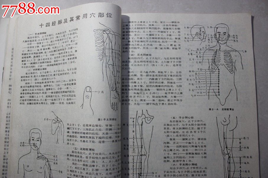 中国著名气*画册:严新.功法.故事.