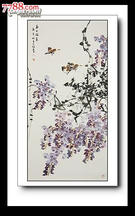 【羽桐轩】名家字画书画中国画花鸟画四尺张大放《紫藤》