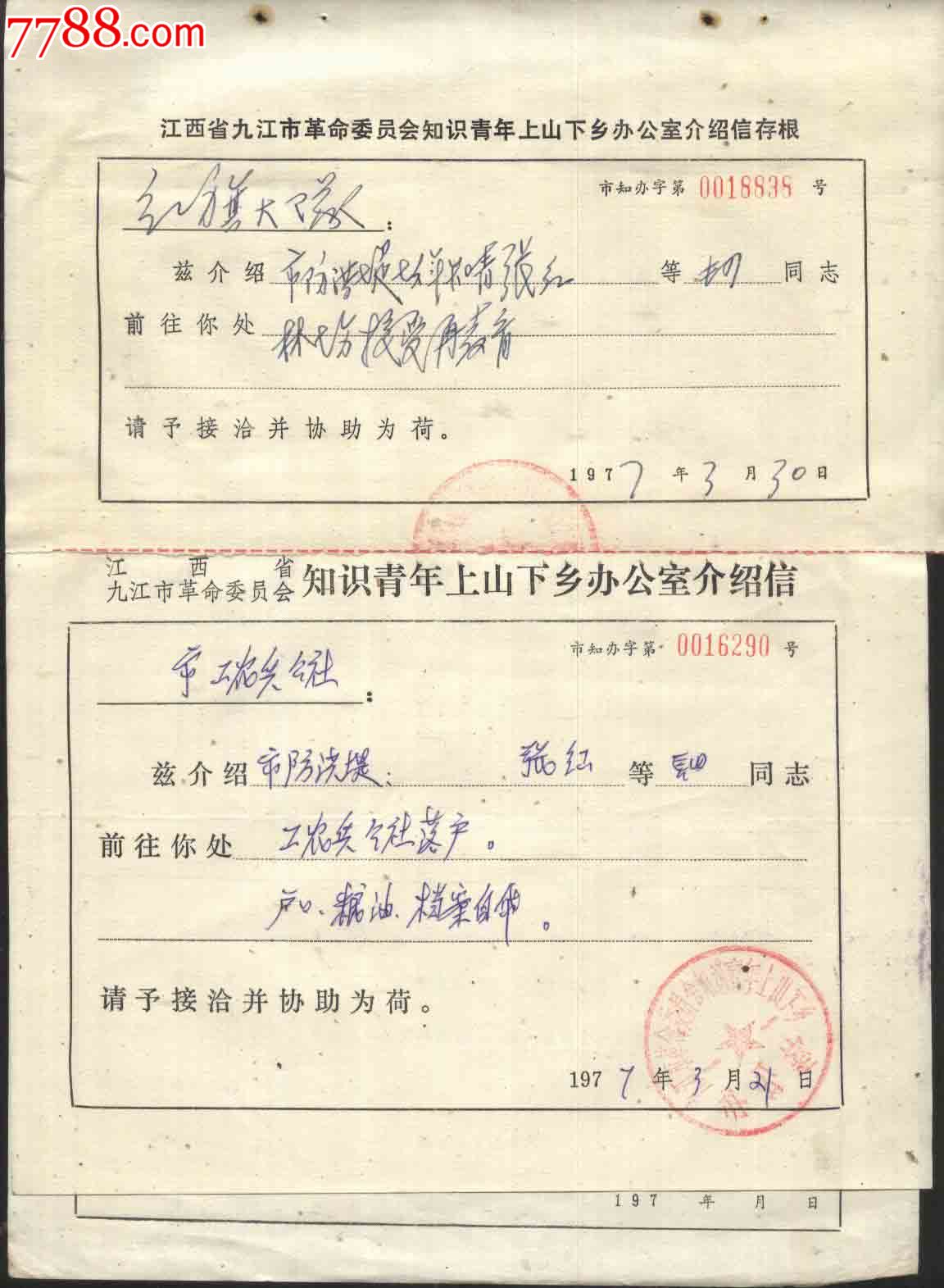 九江市知青上山下乡办公室介绍信 知青档案转递通知(工农兵公社