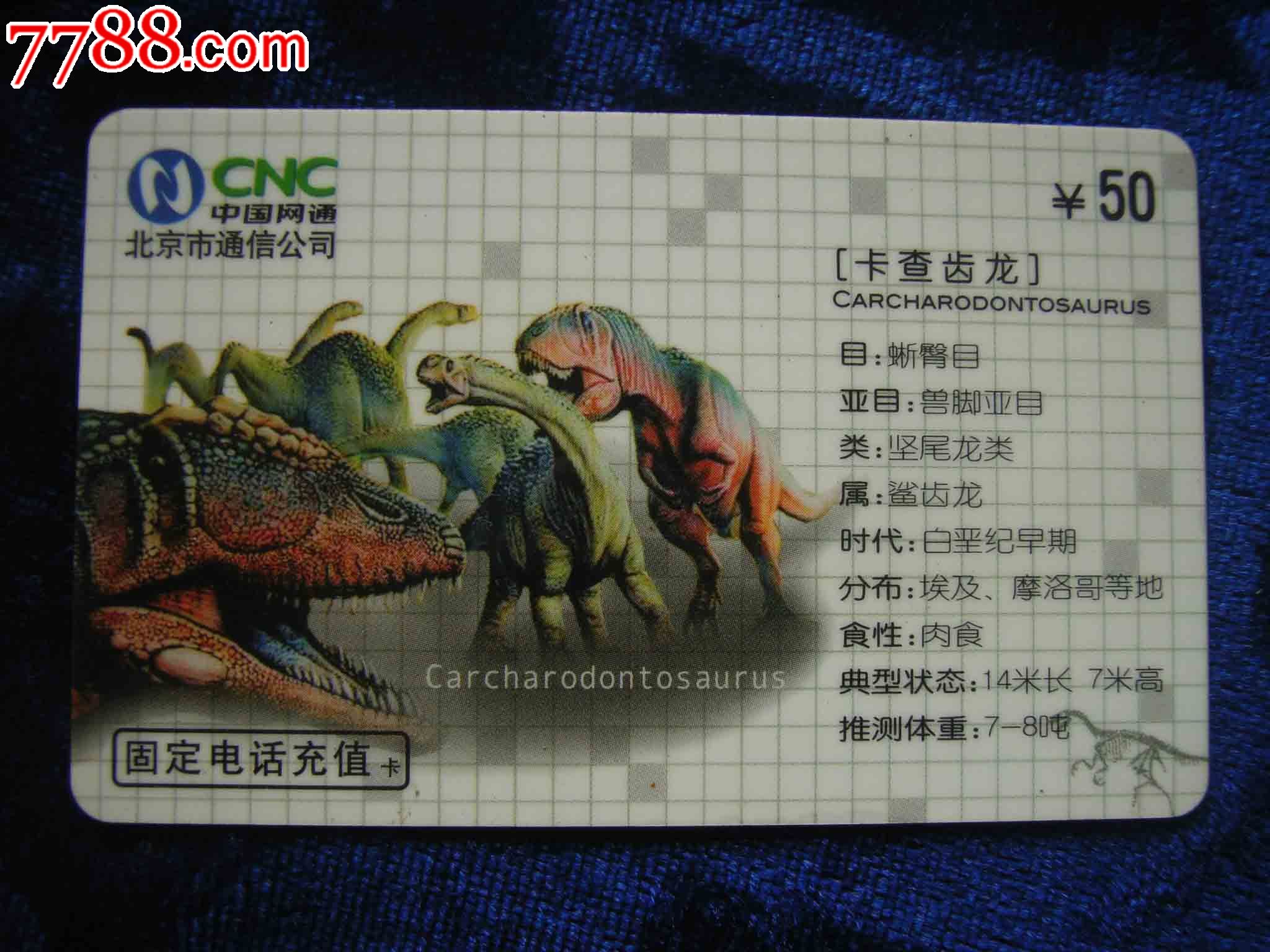 恐龙资料卡内容图片