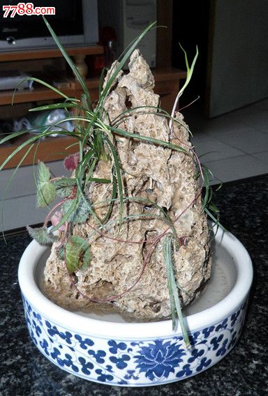 吸水石太古石水锈石盆景