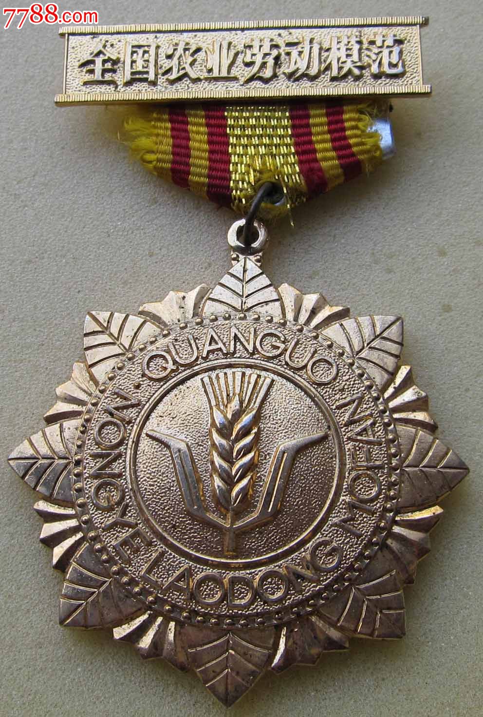 全国农业劳动模范奖章