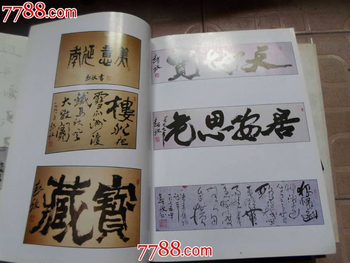 中国人:赵欣书法作品集(签名