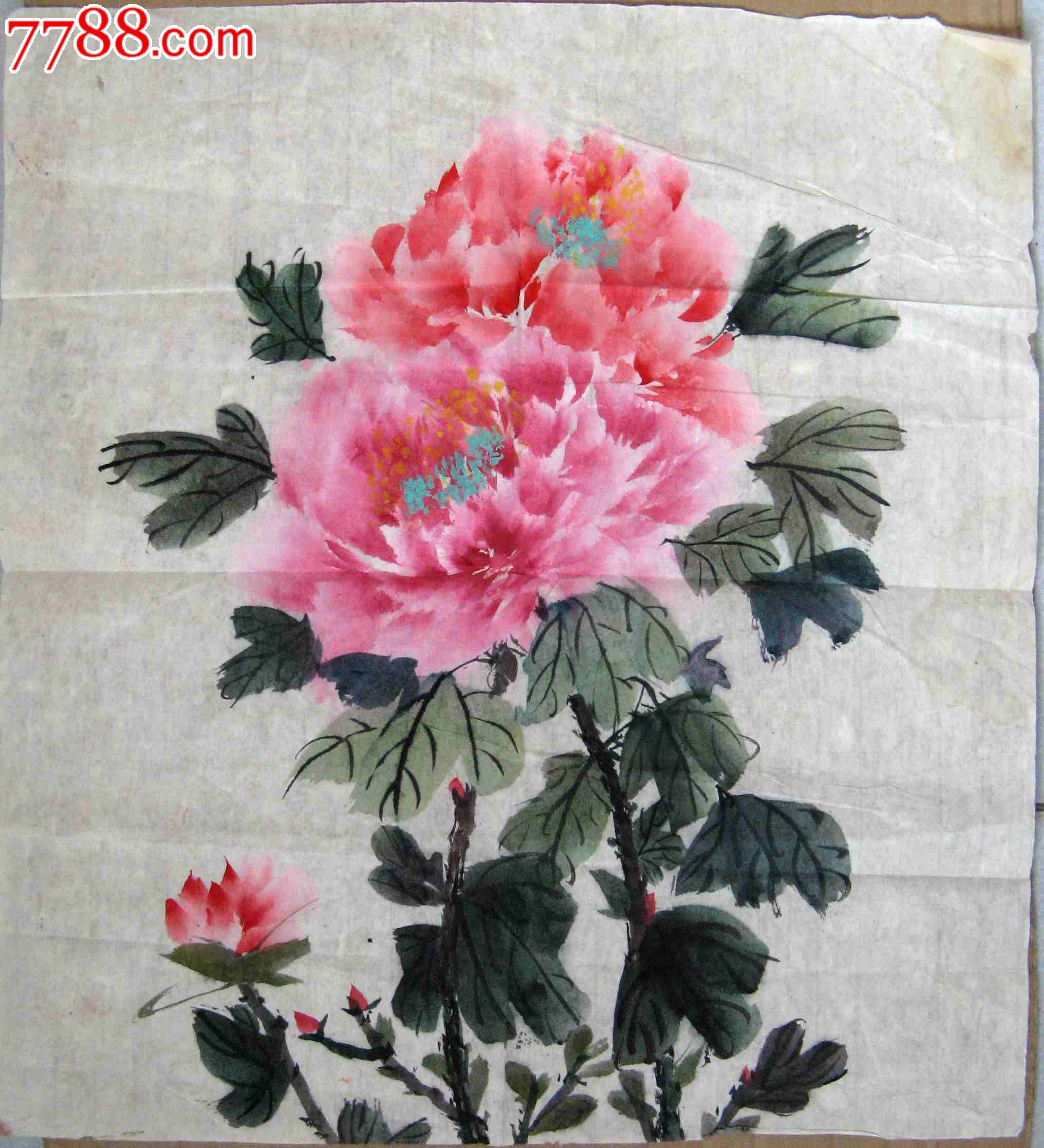 尚可的近三尺斗方牡丹画:迎春双艳