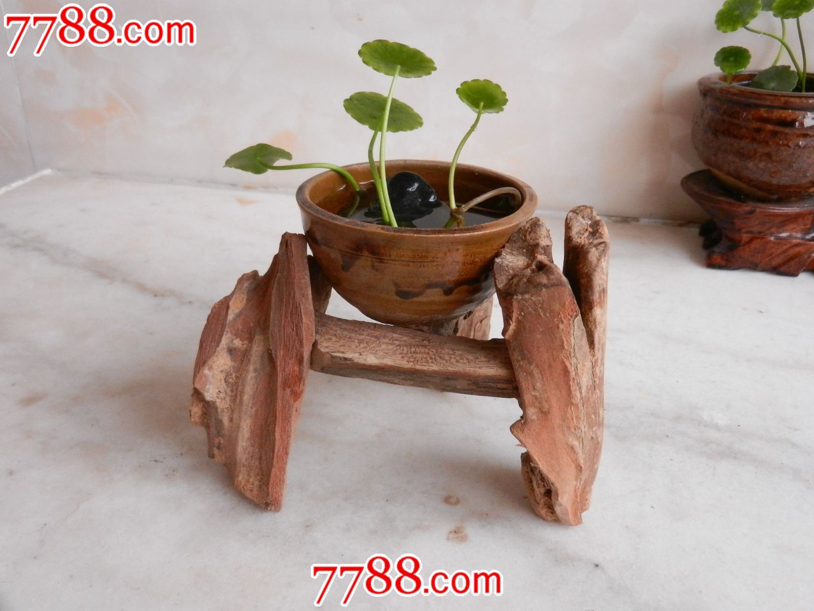 盆景带木座花盆实木底座
