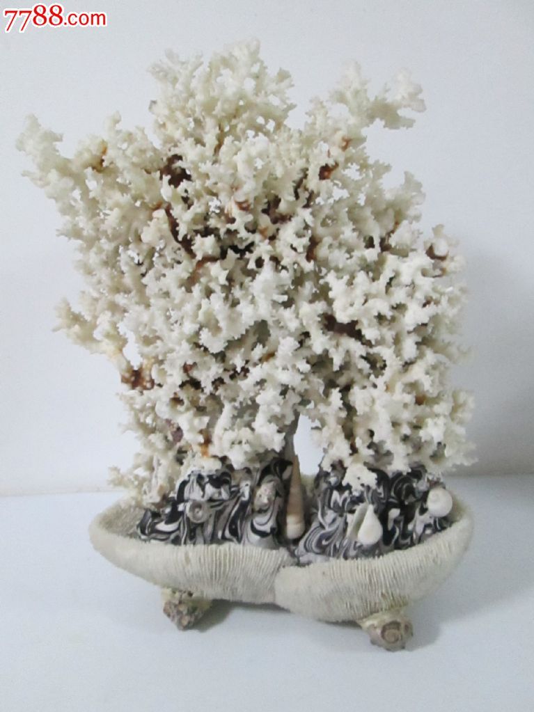 白珊瑚_价格1000元【延吉鑫旺收藏】_第1张_7788收藏__收藏热线