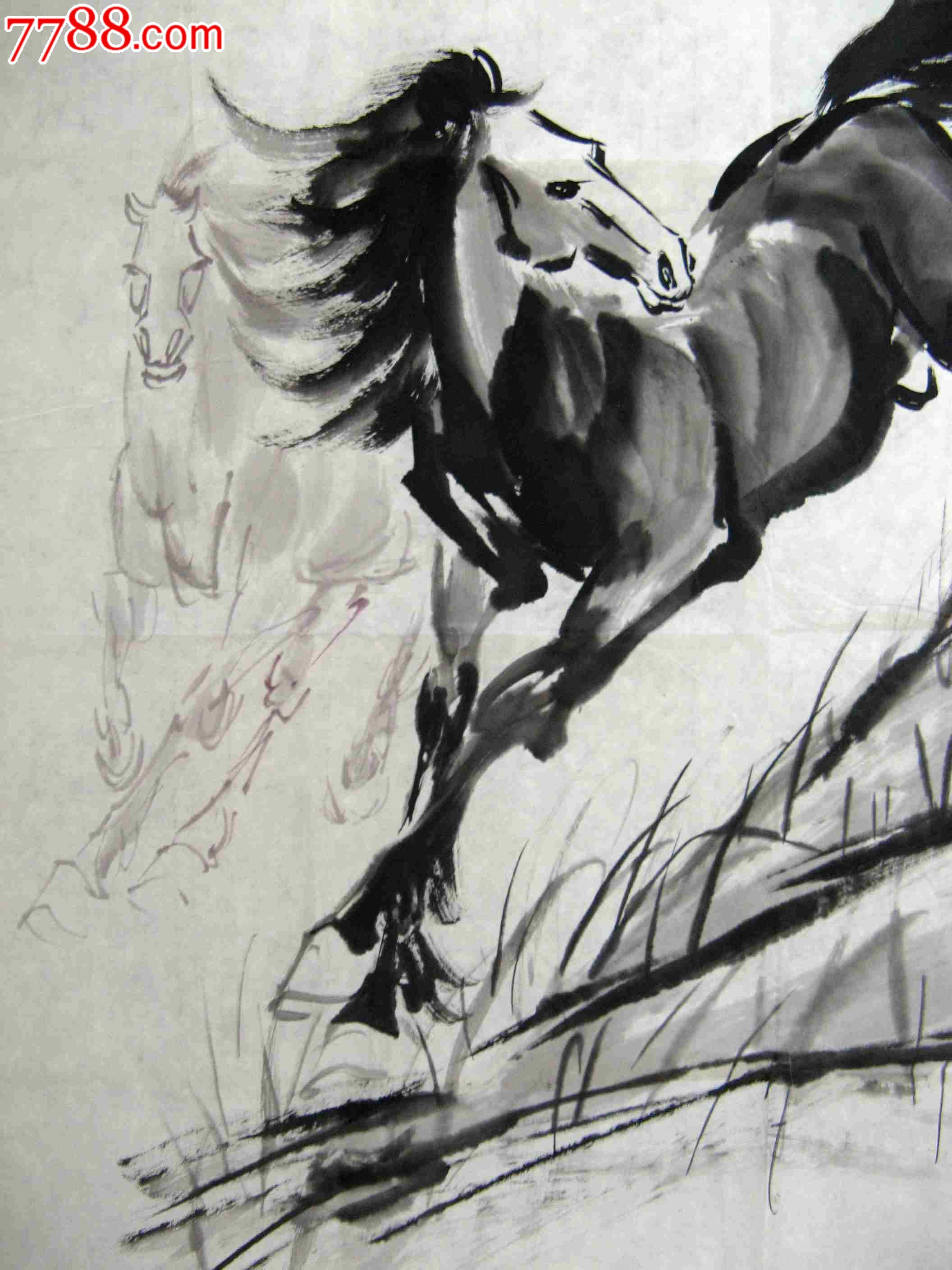 生动形象的四尺斗方无款水墨马画:牧场马欢图-花鸟国画原作-7788书画