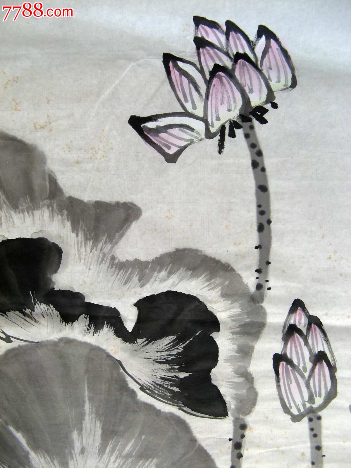 清韵雅洁的三尺条幅无款荷花画:清风秋韵