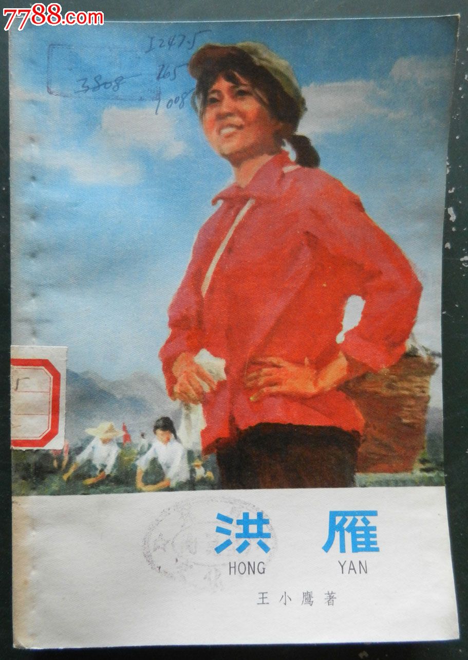 知青题材---洪雁(插图本)