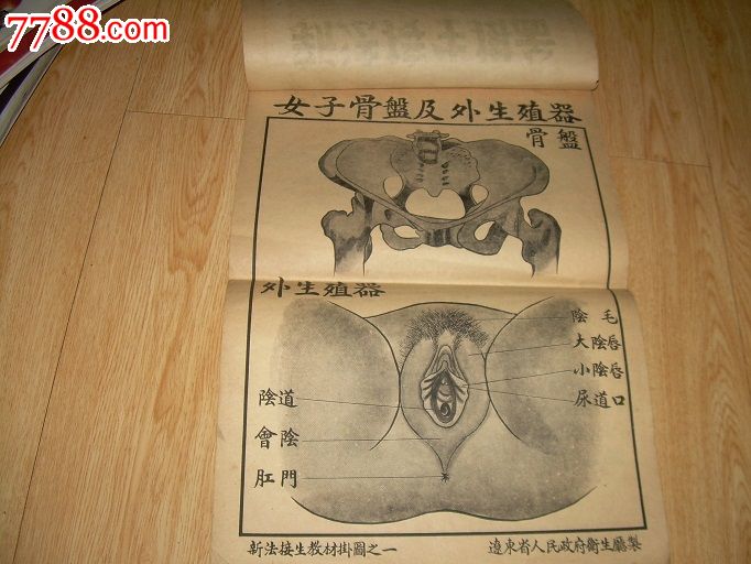 新法接生挂图
