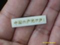 中國共產(chǎn)黨萬歲_寶大洋