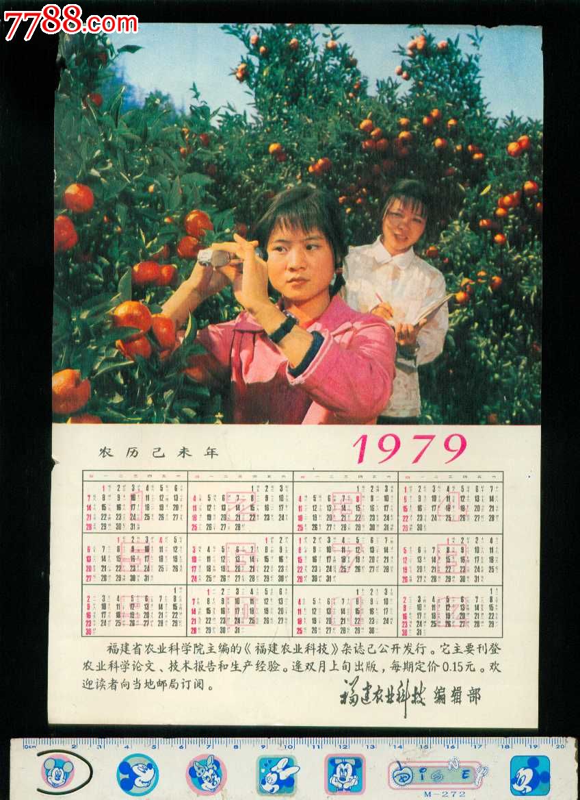 1979年福建农业科技编辑部年历(科研福桔图)