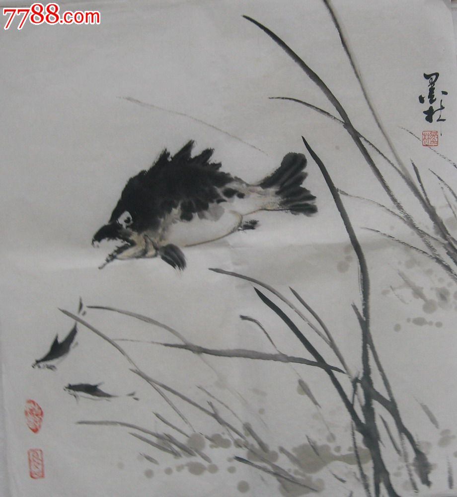 纯手工精品国画花鸟鱼虫三尺斗方年年有余装饰画