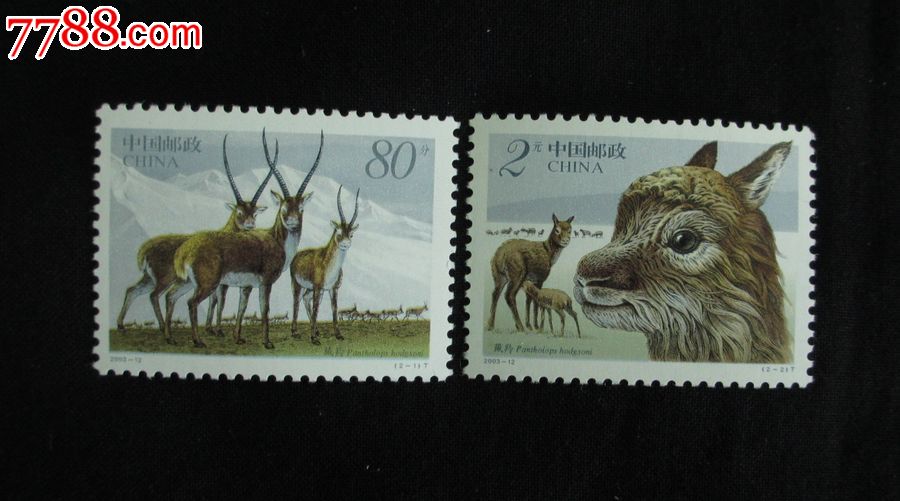 2003-12藏羚羊邮票