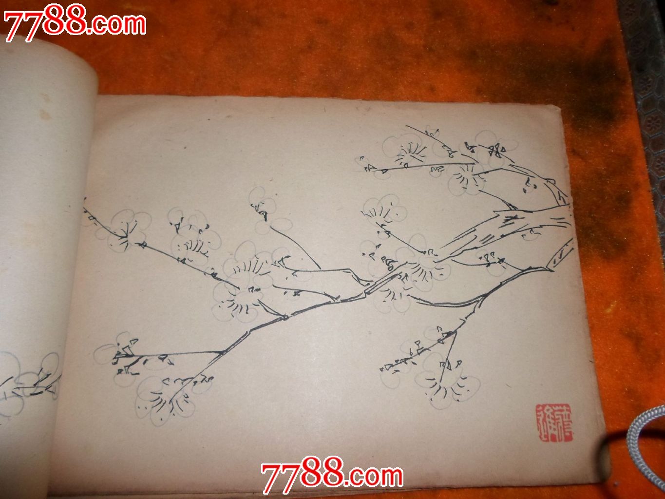 蒋进梅花钢笔手稿一本
