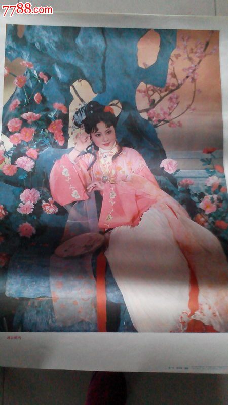 湘云眠芍初吐芳心惜春描园